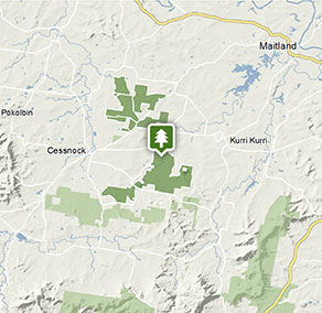 {5C196807-E16F-4270-8630-09E0DA3C56E8}staticmaps