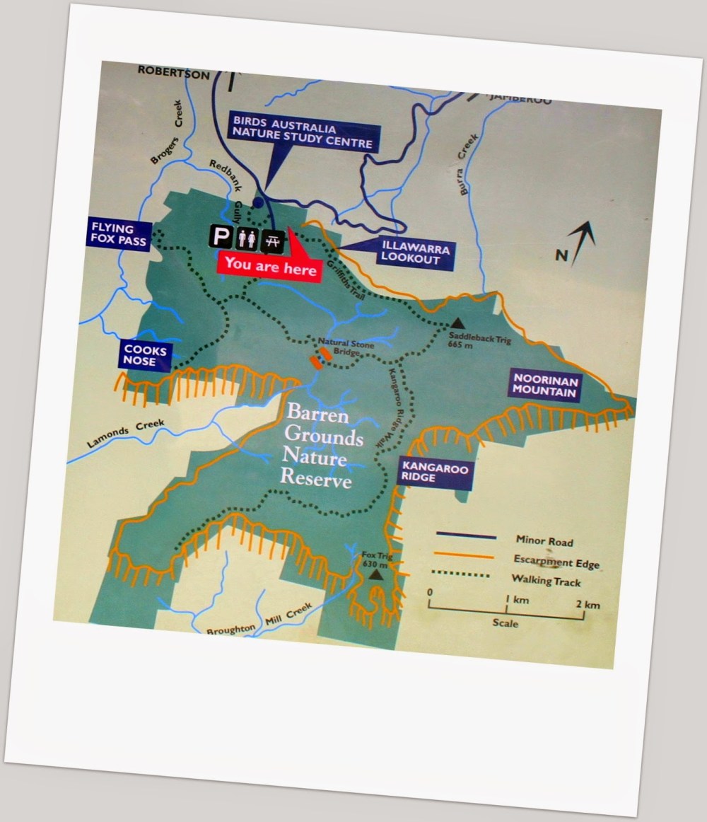 Barren Grounds Walking Map.jpg